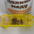 Пчеломатки Карпатка Вучковский тип