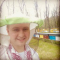 Пчелопакеты с доставкой