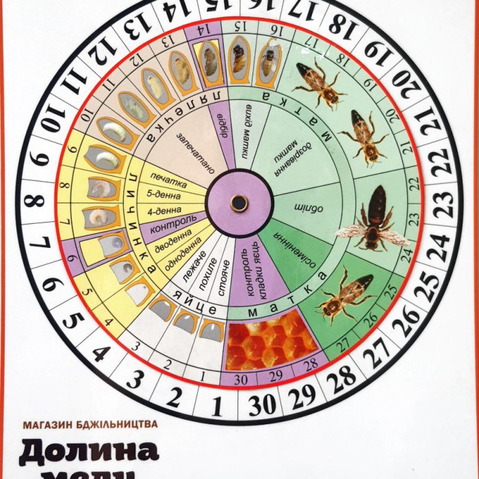 Календар виводу маток